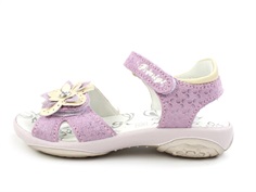 Primigi violet/cipria sandal Breeze with flower